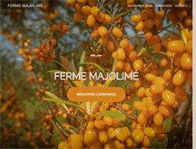 Tablet Screenshot of majolime.com